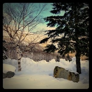 Meet your Posher, Elle